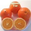 Комплект 5шт / Апельсин Навелина: фото и описание